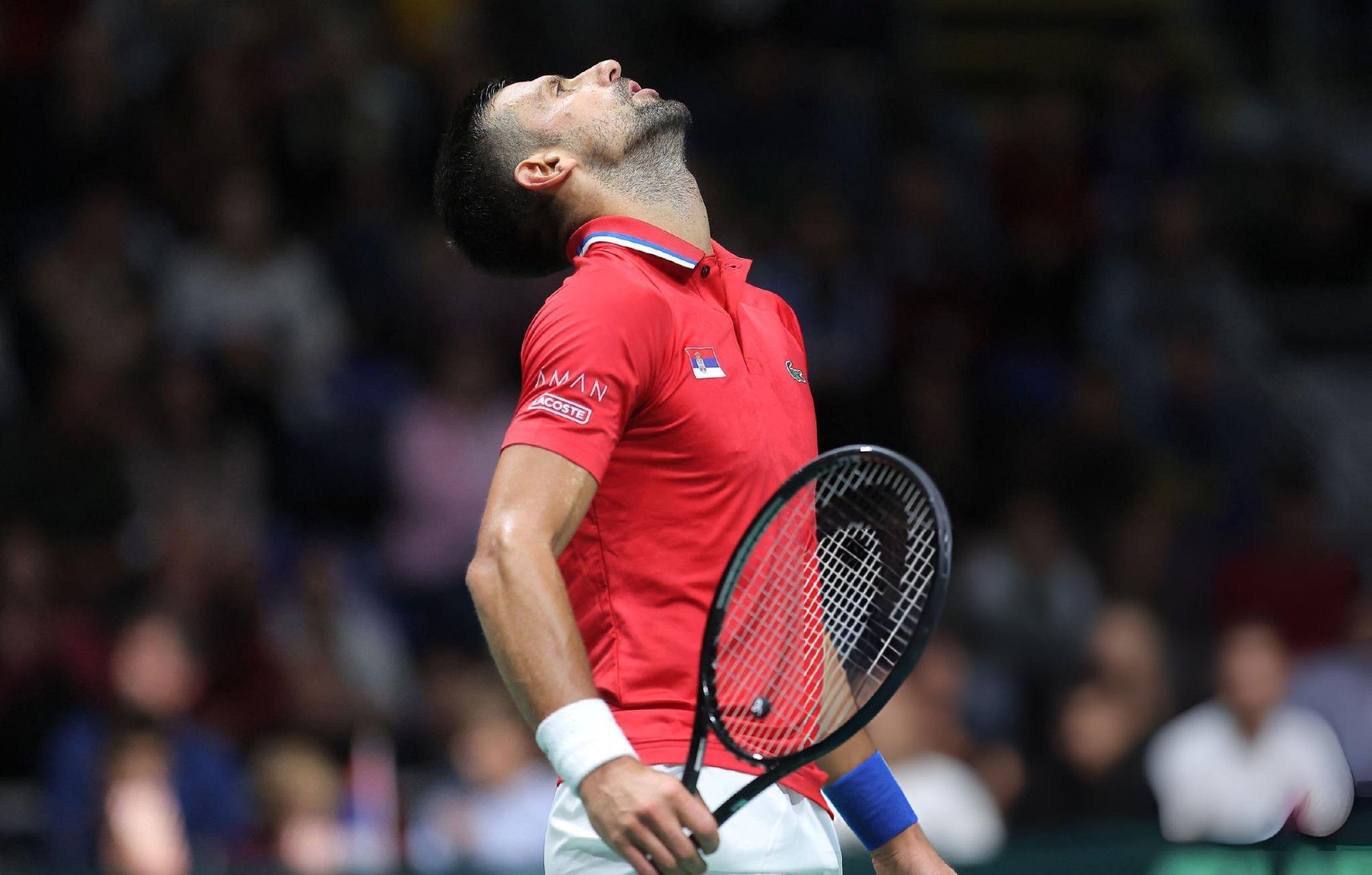 戴维斯杯轻取年终总决赛，德约科维奇刷新纪录