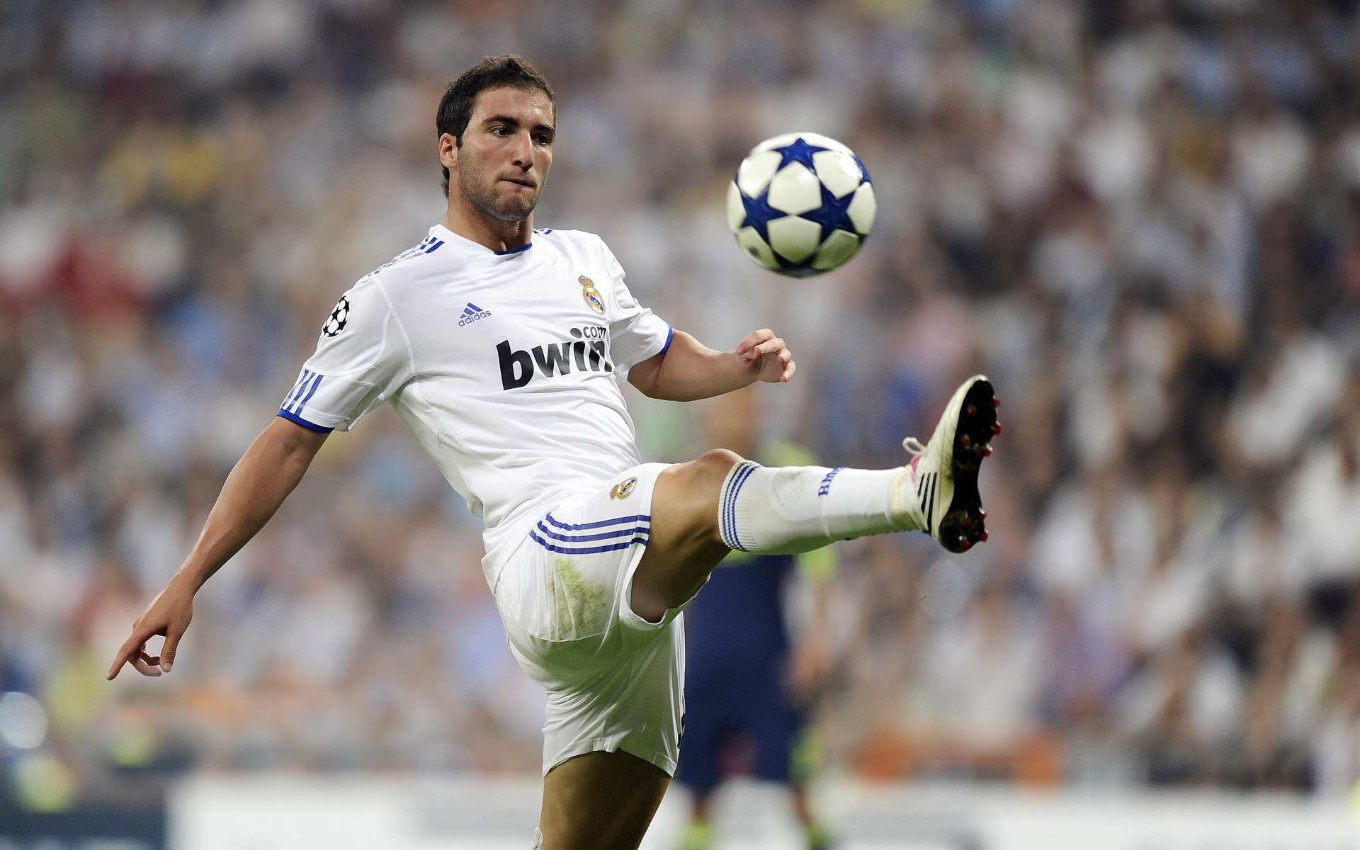 欧冠决赛焦点战,猛龙争冠战胜出公牛,跨越大陆的胜利交响